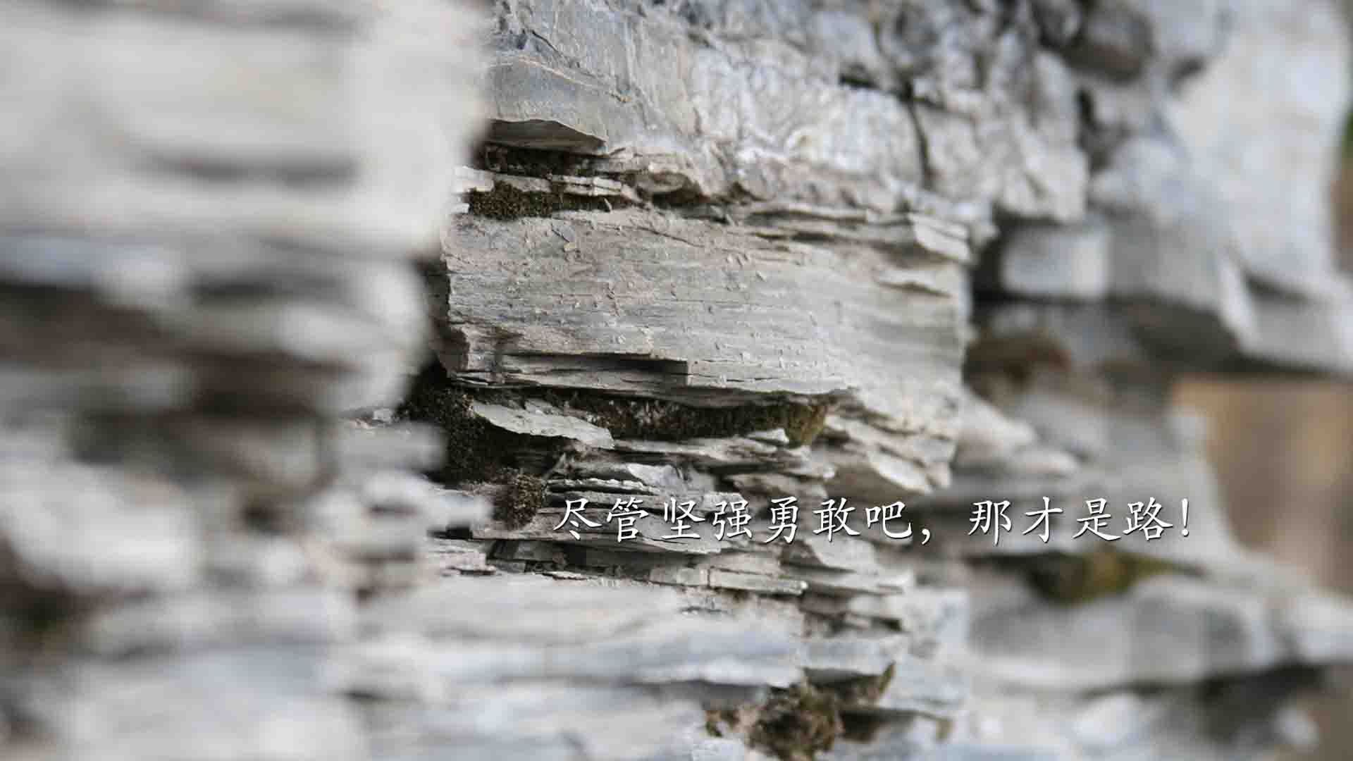 体育领域反兴奋剂监管机制评估，国家体育总局反兴奋剂中心的网站是什么