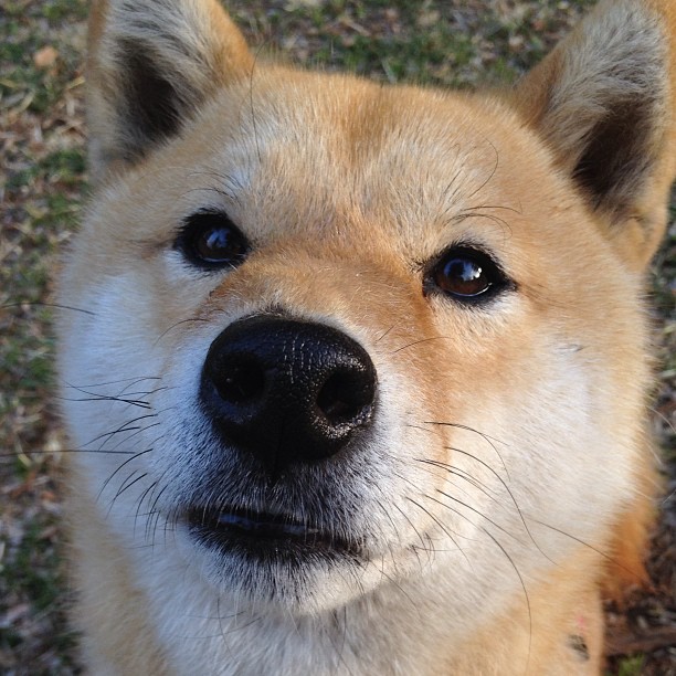 女子篮球强调团队协同创造比赛优势局面，女子篮球组织