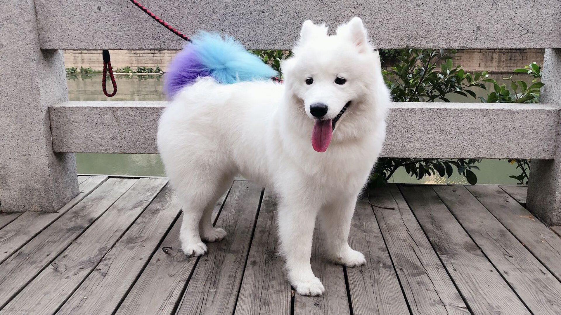 恩多比·恩乔:为南非队提供稳定保障,攻防两端都不容小觑,恩多西 是什么意思