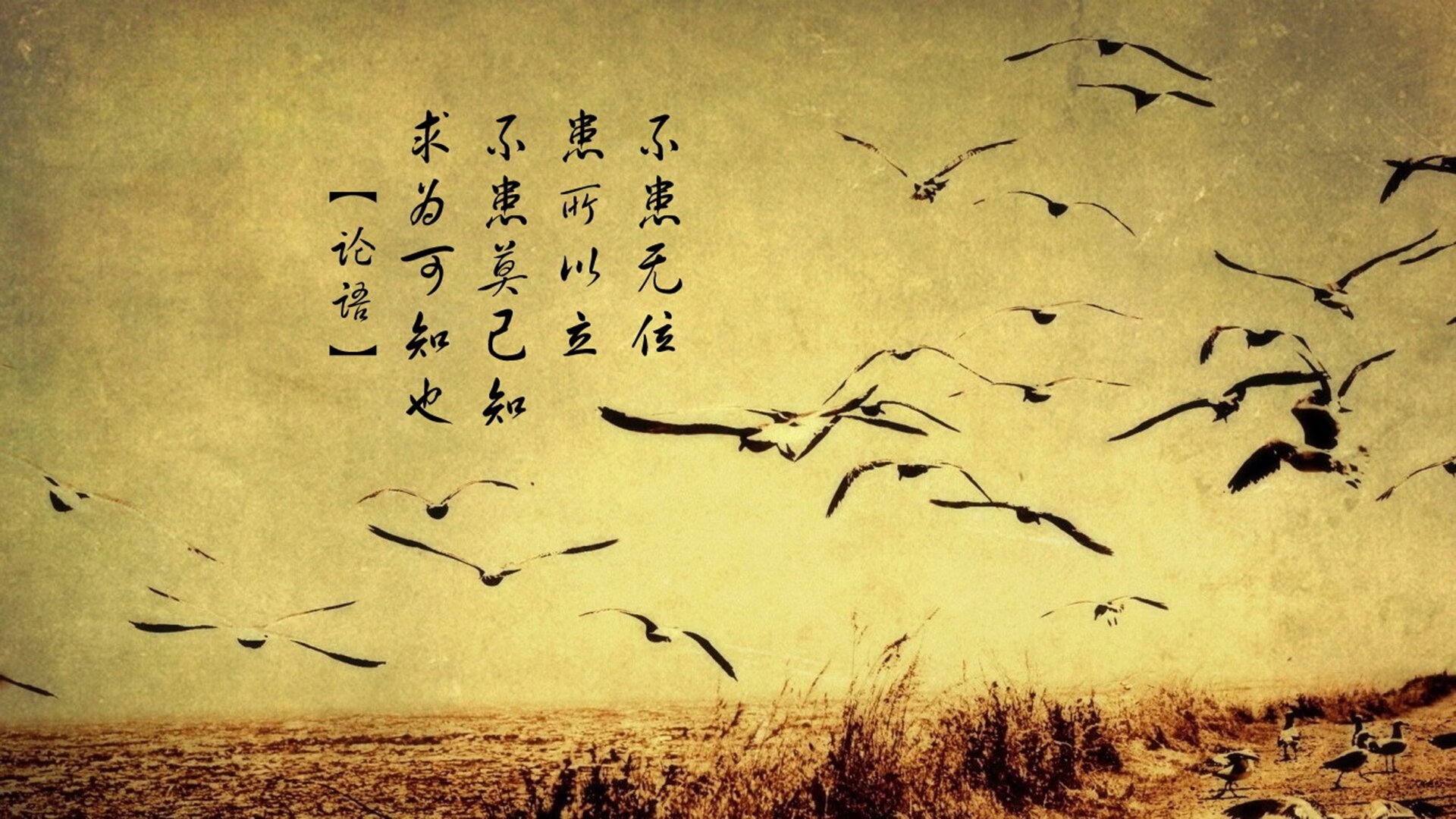 林丹重回母校激励学生追逐梦想,林丹 上校